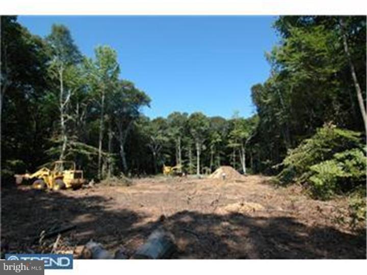 17 Ginger Road Chesterfield, NJ 08515 - Photo 4 of 13