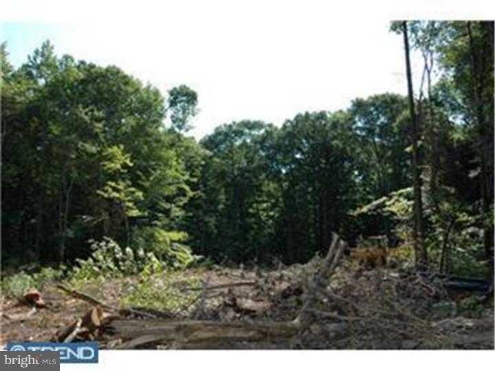 17 Ginger Road Chesterfield, NJ 08515 - Photo 10 of 13