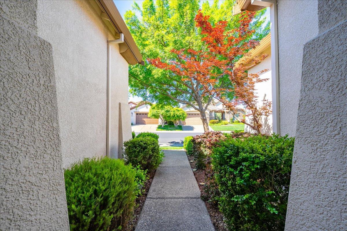 2294 Langtree Drive Roseville, CA 95747 - Photo 6 of 61