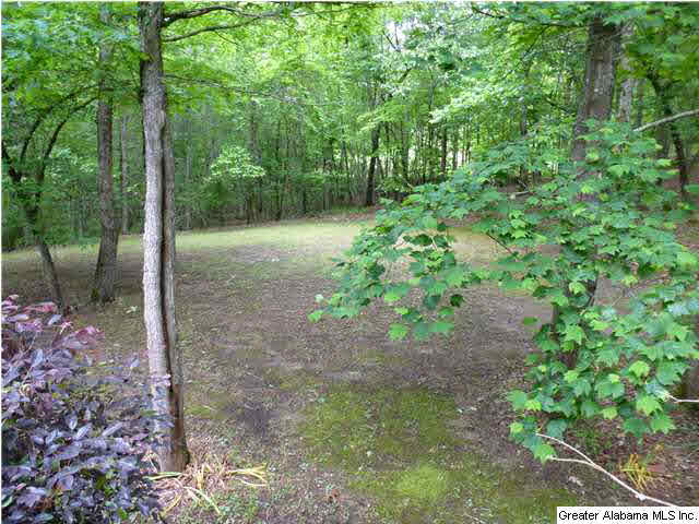 112 Windsor Circle Pelham, AL 35124 - Photo 29 of 32