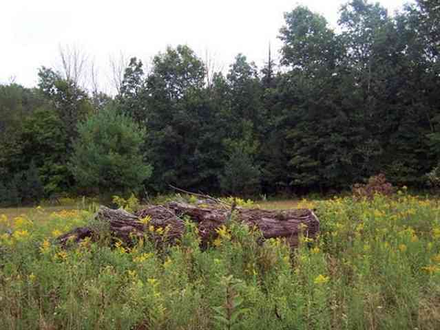 7718 Comstock Road Avoca, MI 48006 - Photo 7 of 15 31070161-6.JPG