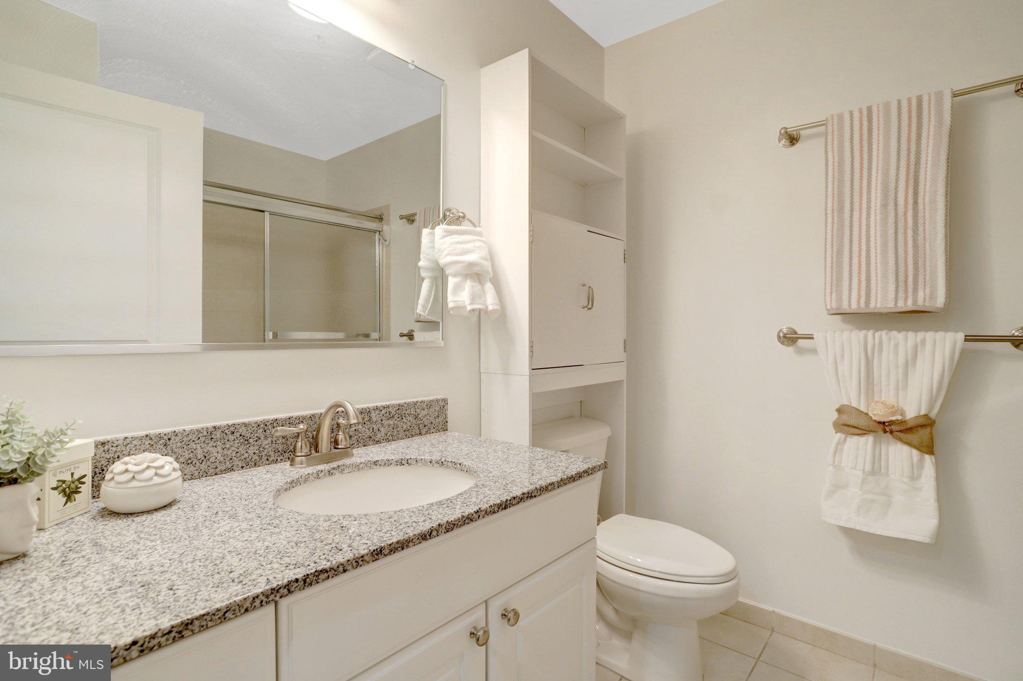 3650 South Glebe Road, Unit 442 Arlington, VA 22202 - Photo 21 of 54 a bathroom with a granite countertop sink and a mirror