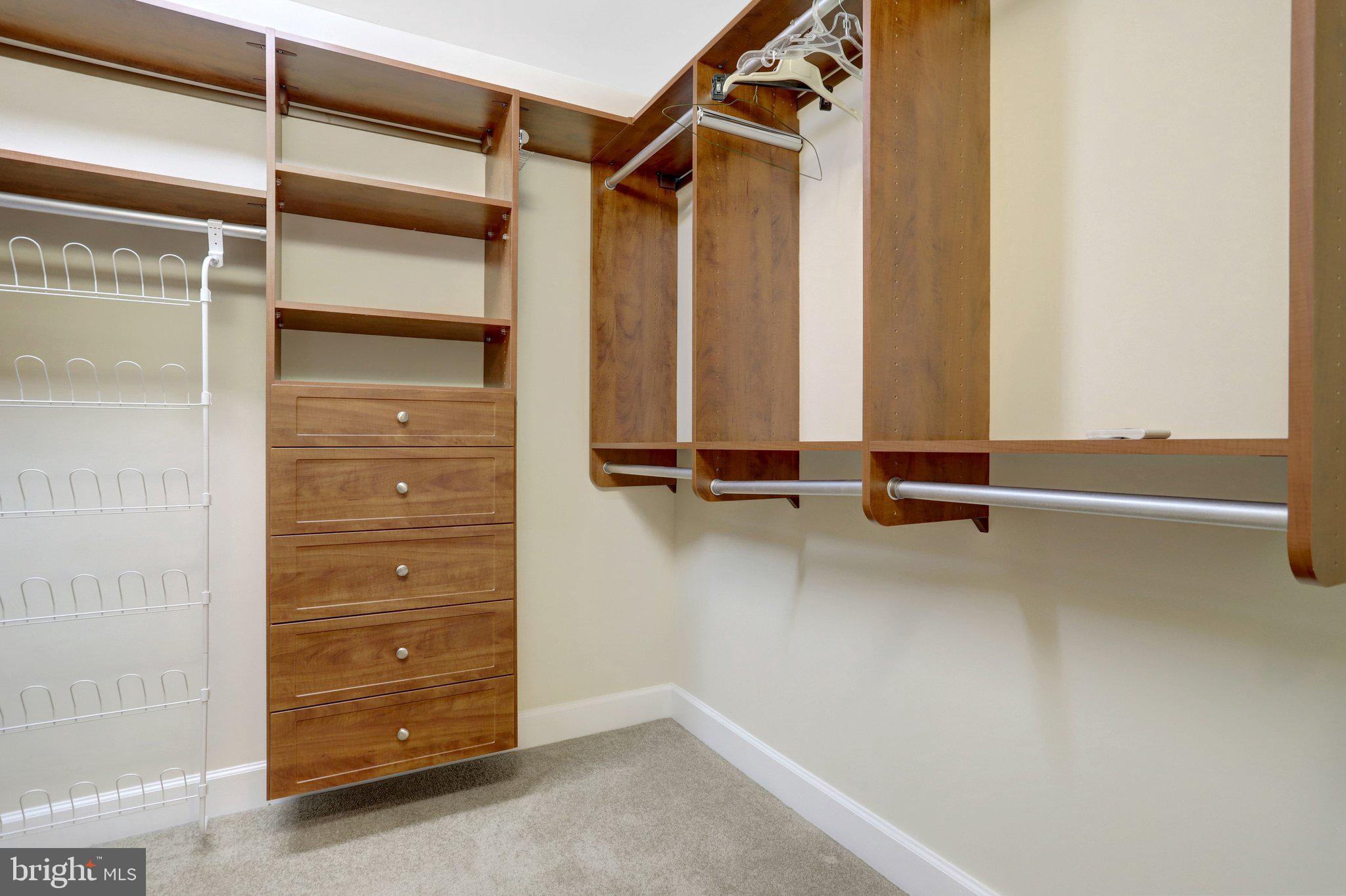 3650 South Glebe Road, Unit 442 Arlington, VA 22202 - Photo 31 of 54 a view of walk in closet with clothes and shoes
