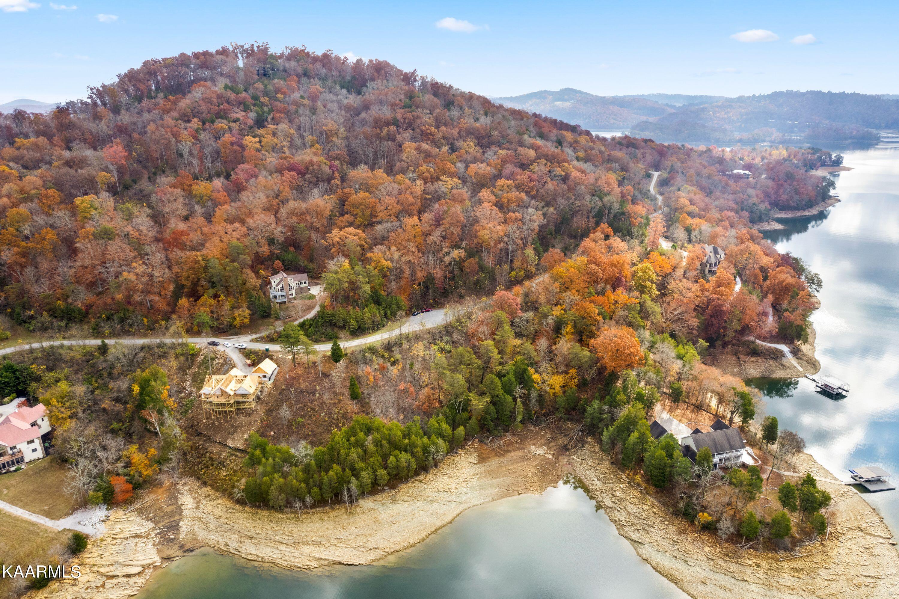 767-lot Russell Brothers Road Sharps Chapel, TN 37866 - Photo 9 of 19 Winter shoreline