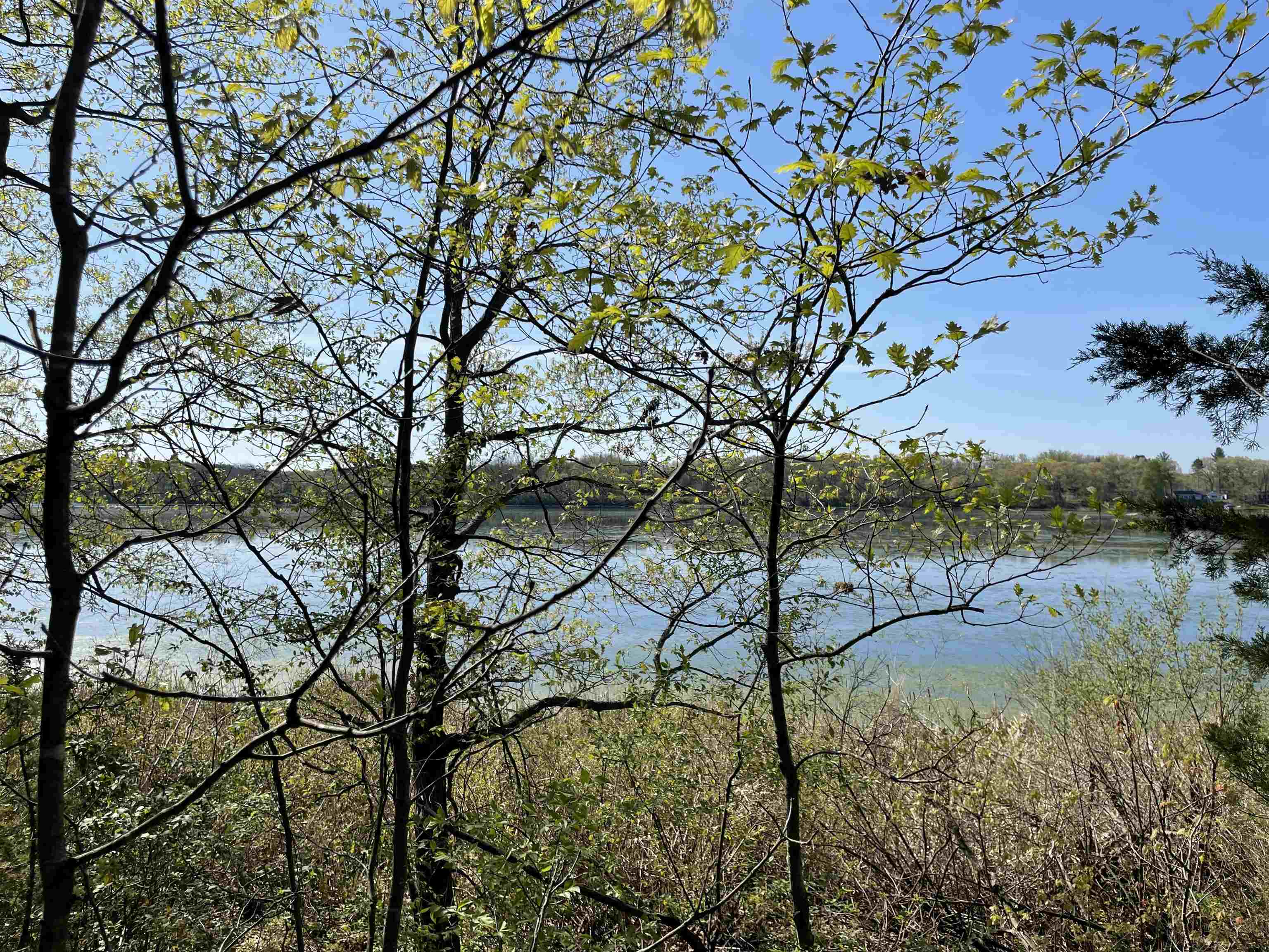 Lot 2 County Rd C Montello, WI 53949 - Photo 1 of 1 Gallery Image 1