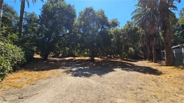 a view of a yard with a tree