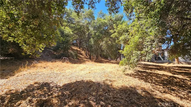 a view of a yard with trees