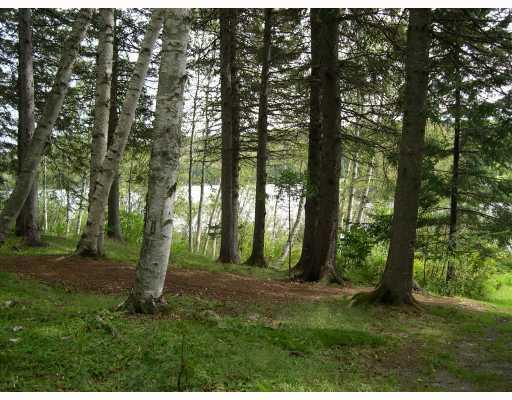3417 Main Street Rangeley, ME 04970 - Photo 18 of 18 Yard/Garden.