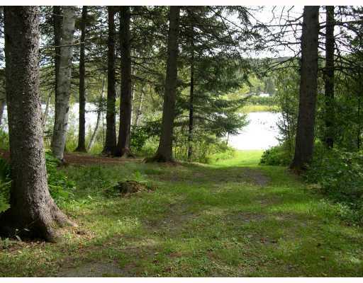 3417 Main Street Rangeley, ME 04970 - Photo 6 of 18 Yard/Garden.