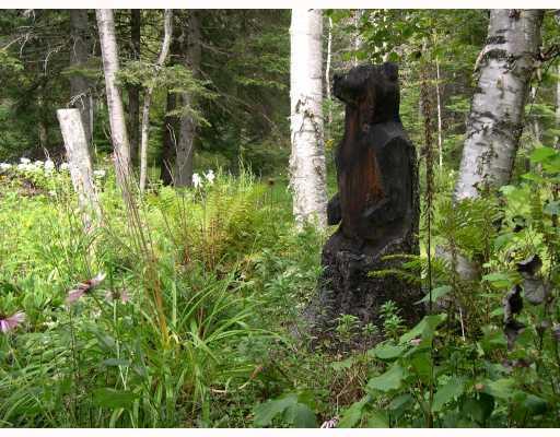 3417 Main Street Rangeley, ME 04970 - Photo 10 of 18 Yard/Garden.