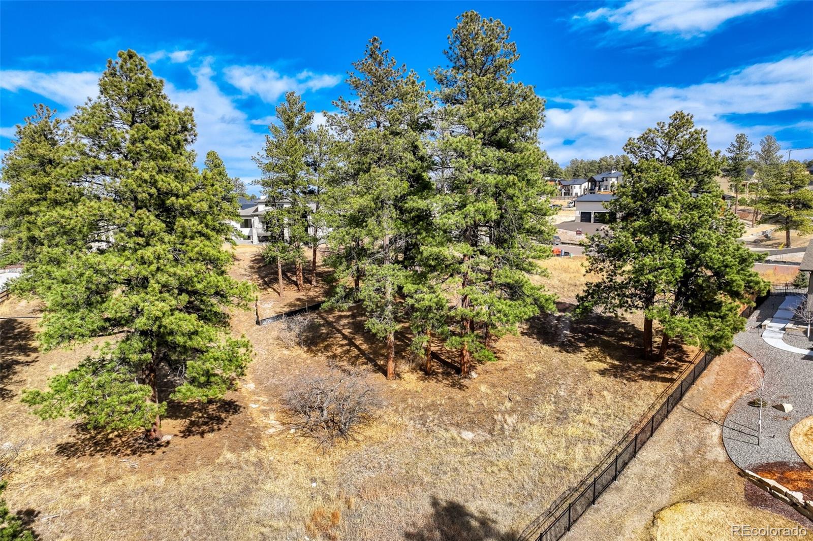 5805 Powell Road Parker, CO 80134 - Photo 5 of 11 a view of a yard with wooden fence