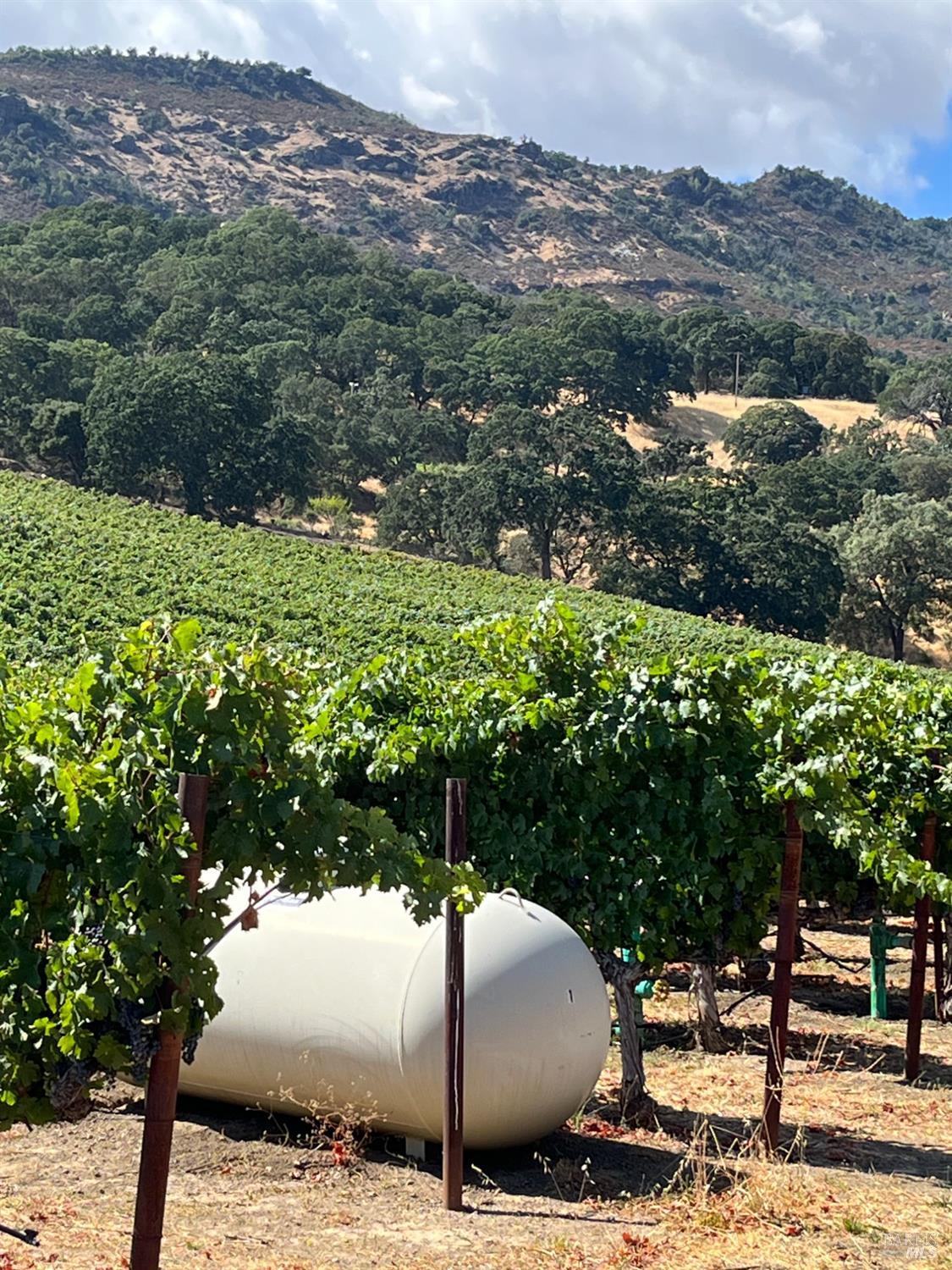 4060 Monticello Road Napa, CA 94558 - Photo 22 of 54
