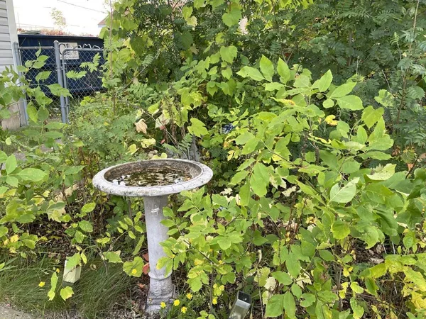 $159,500 | 324 South 4th Avenue East, Ely, MN 55731