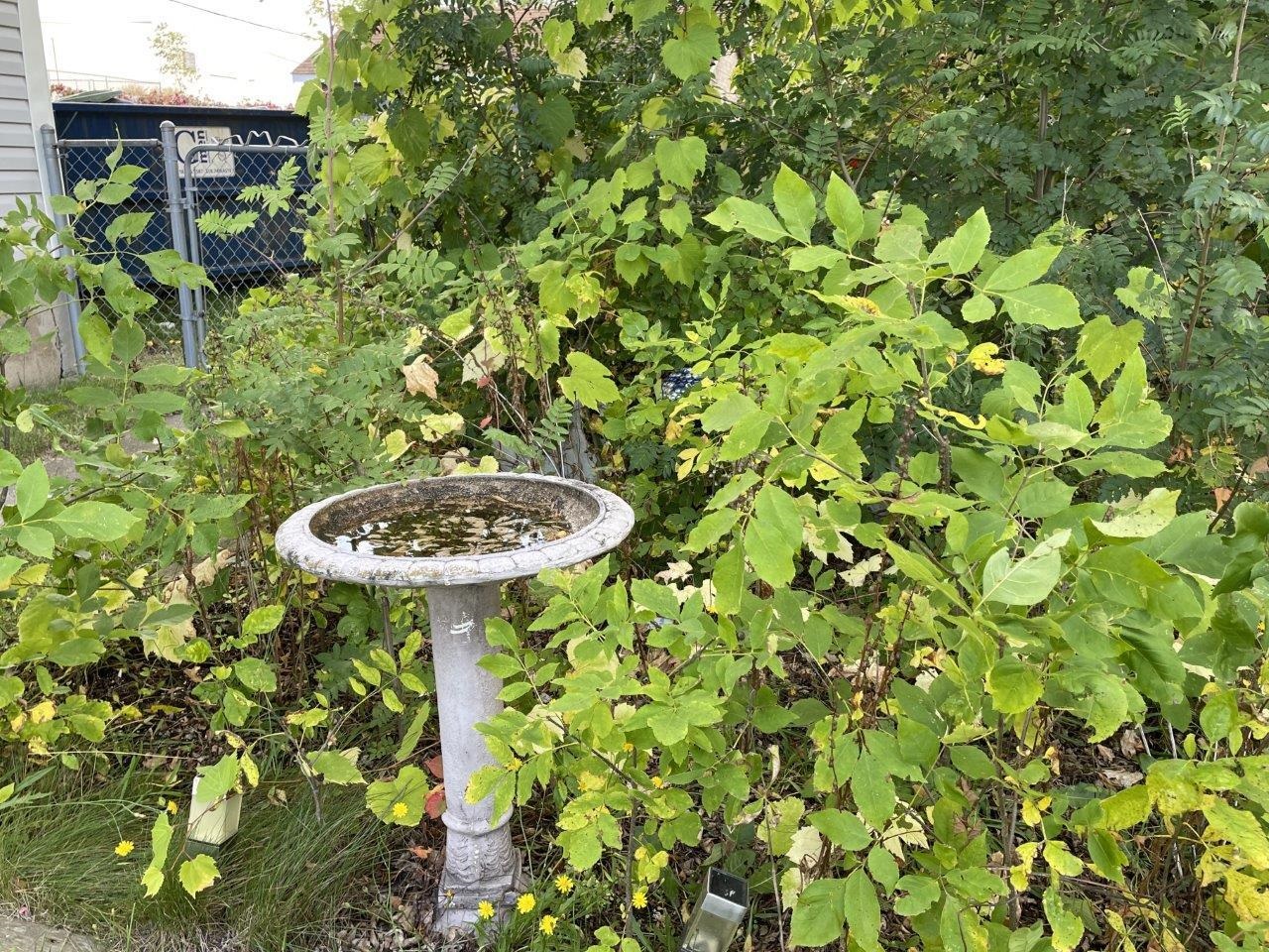 324 South 4th Avenue East Ely, MN 55731 - Photo 39 of 40