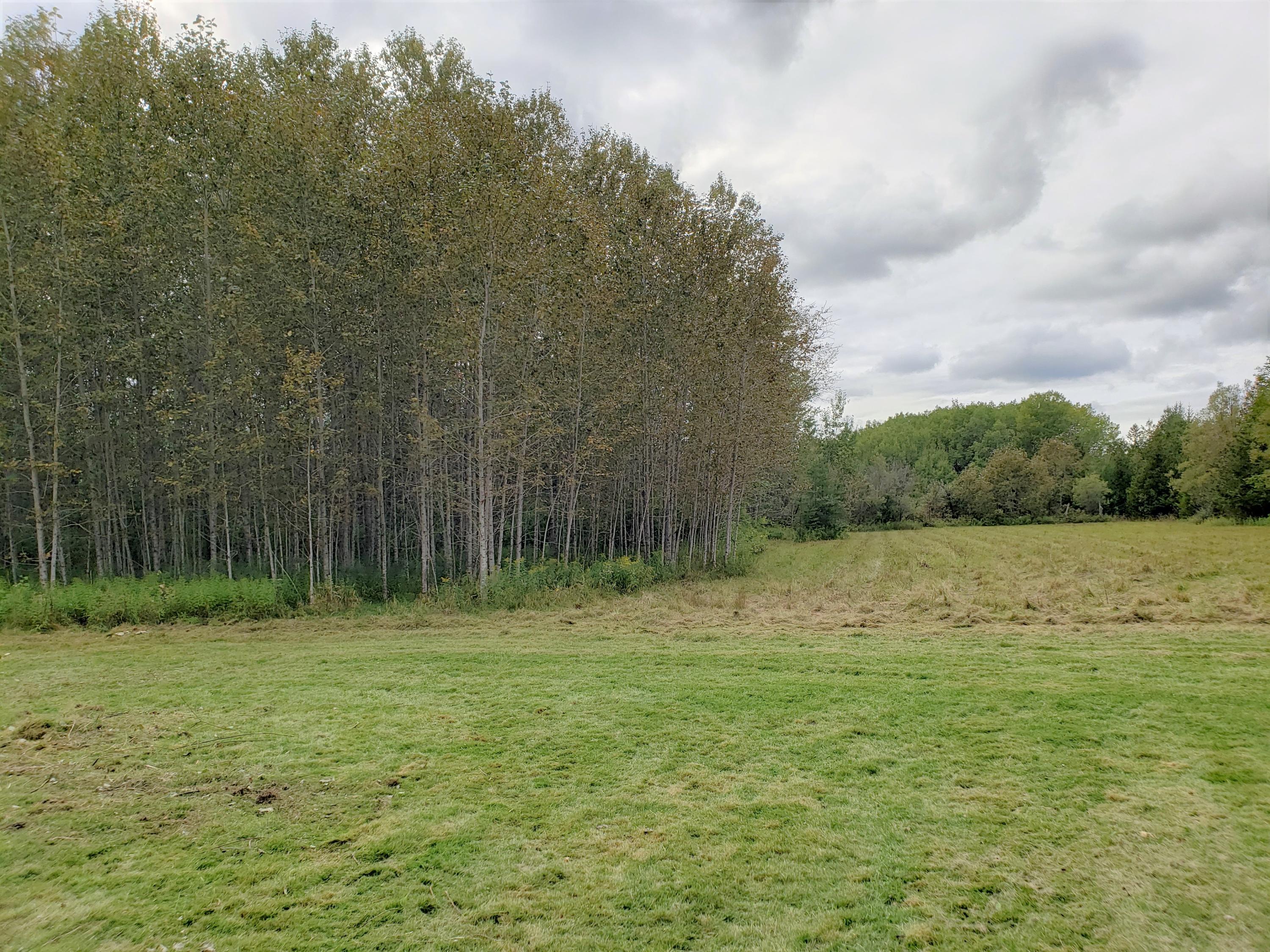 13297 Hebron Mail Route Cheboygan, MI 49721 - Photo 6 of 18 Gallery Image 6