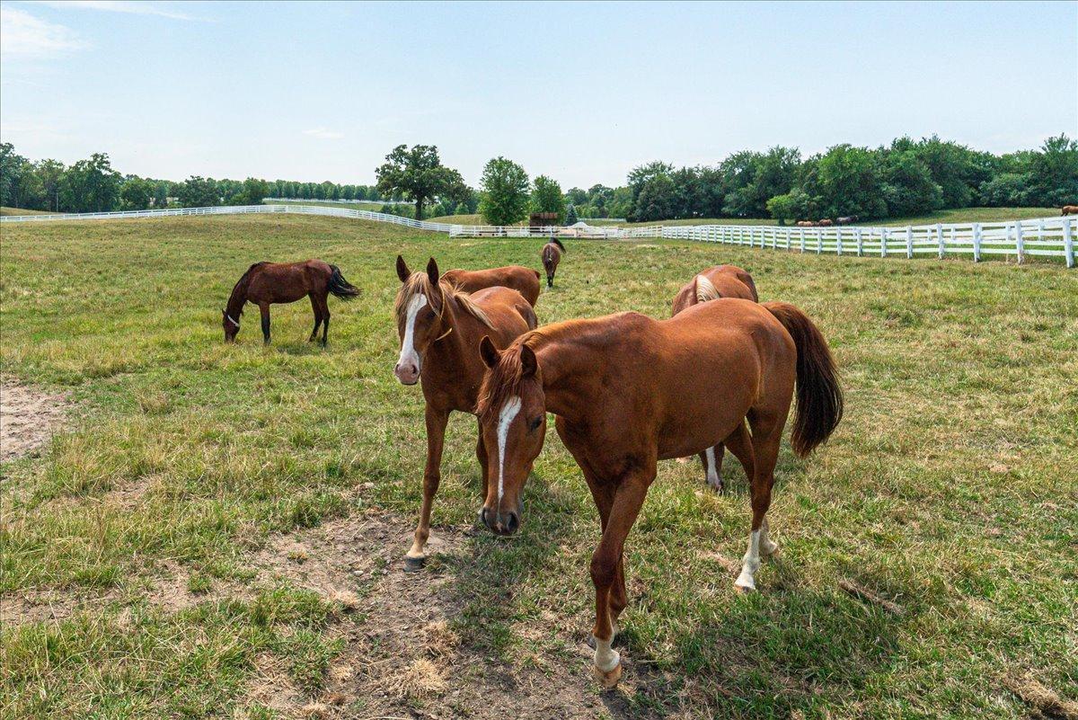 12446 190th Street Milaca, MN 56353 - Photo 79 of 81