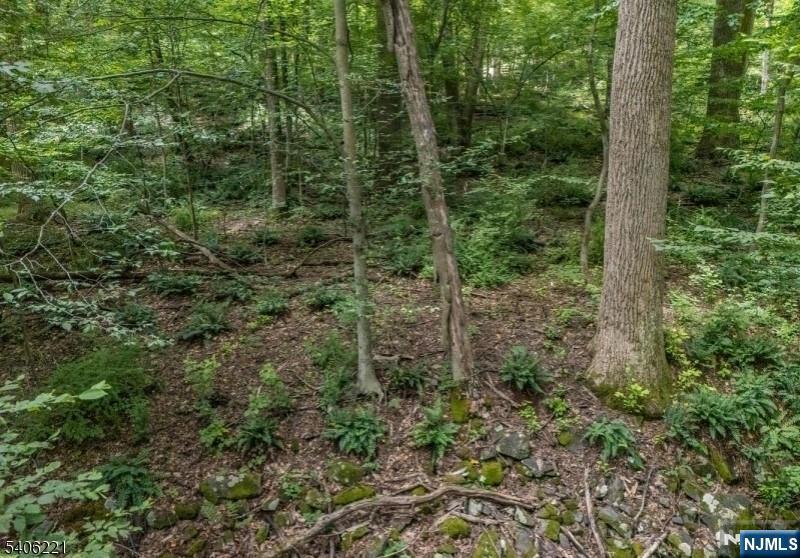 Sweet Hollow Road Milford, NJ 08848 - Photo 14 of 14