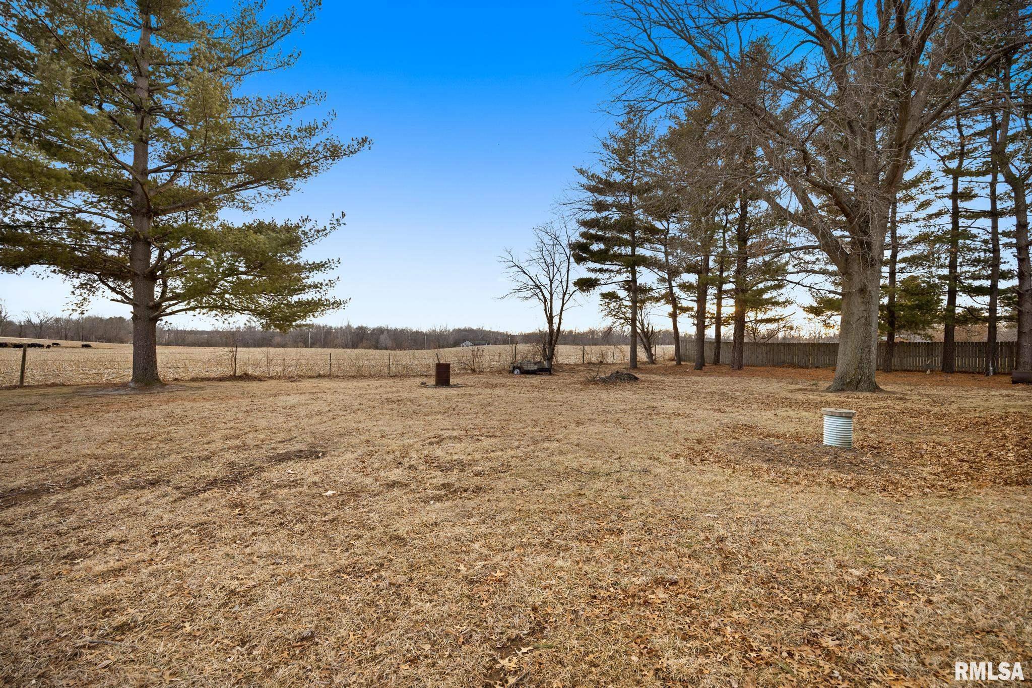 25909 Longview Road Hopedale, IL 61747 - Photo 6 of 36