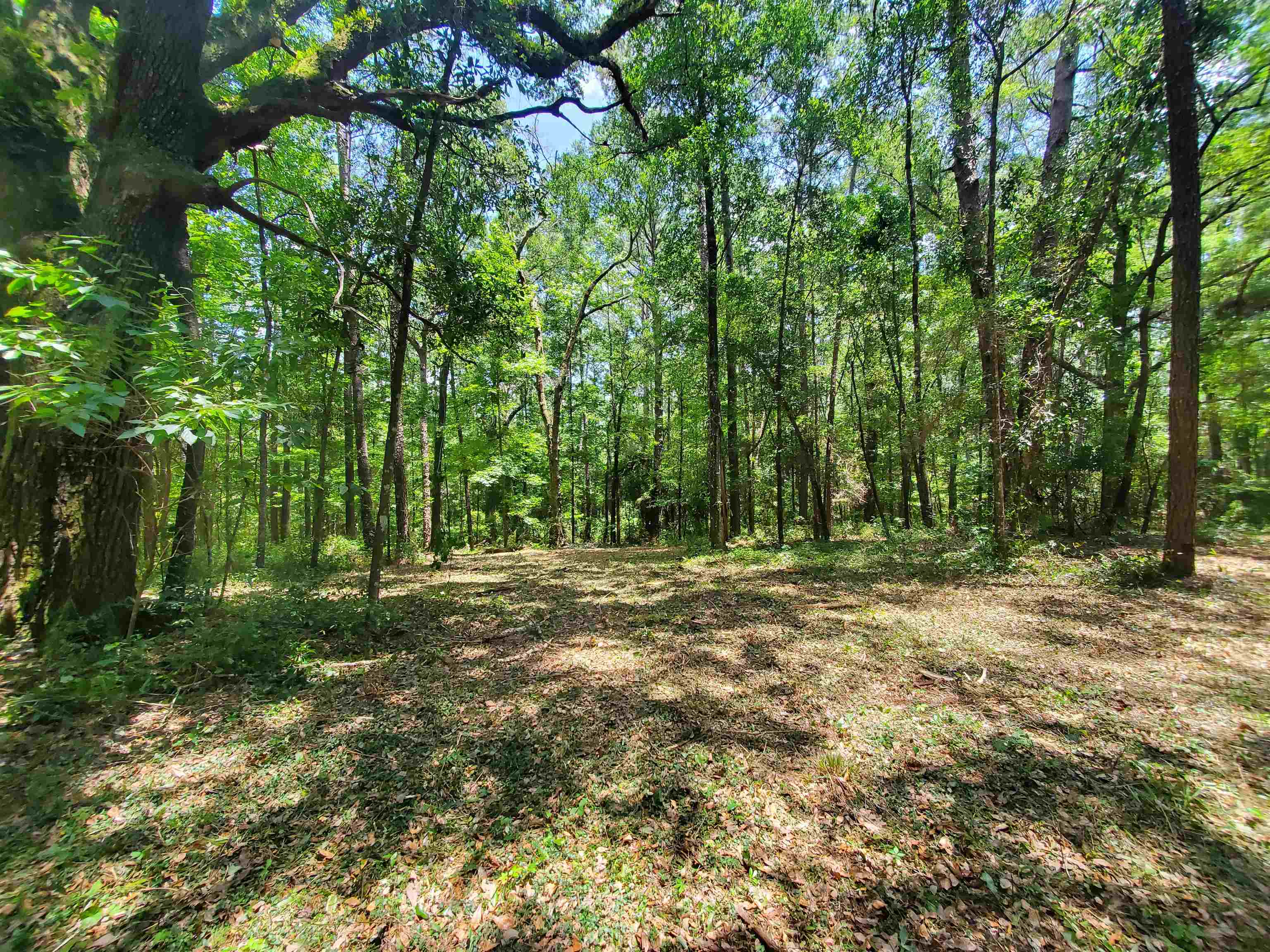 Xxx Anhinga Farms Road, Tallahassee, FL 32309 Compass