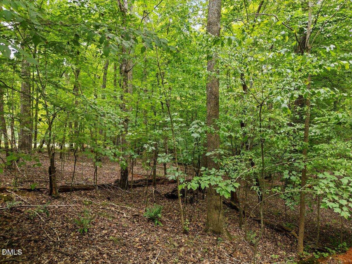 1037 Sunshine Circle Stem, NC 27581 - Photo 11 of 16 a backyard of a house with a tree