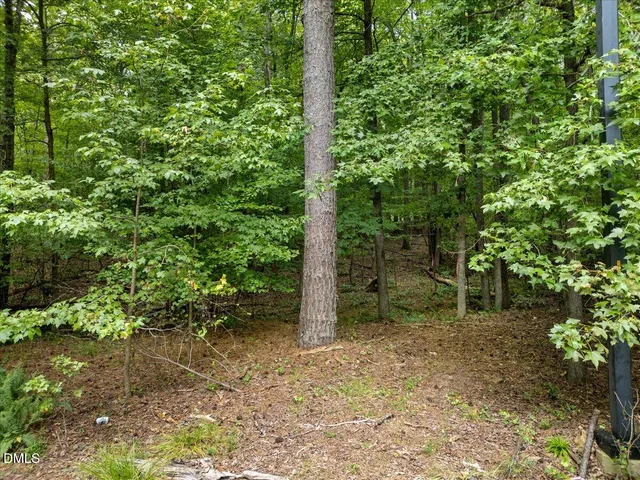 a view of a road with a backyard