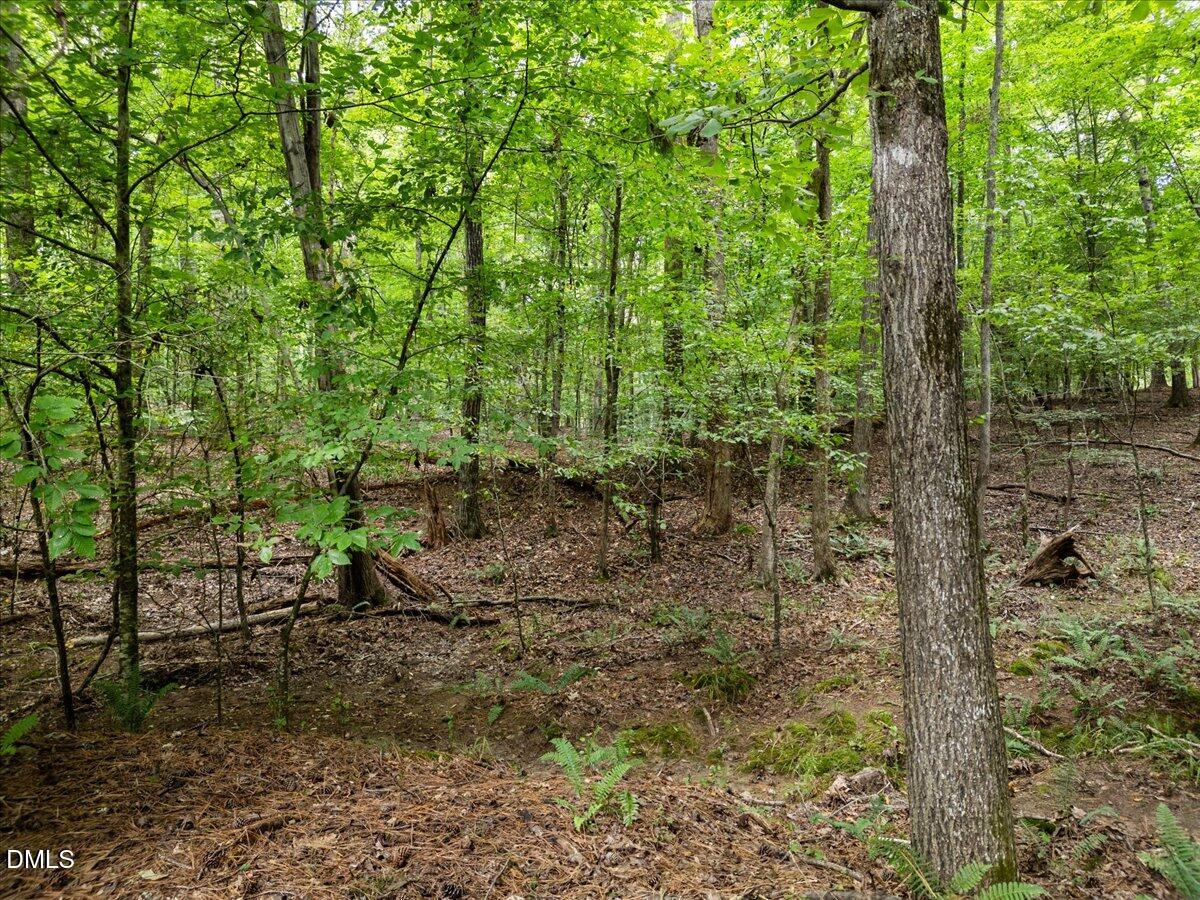 1037 Sunshine Circle Stem, NC 27581 - Photo 13 of 16 a view of forest