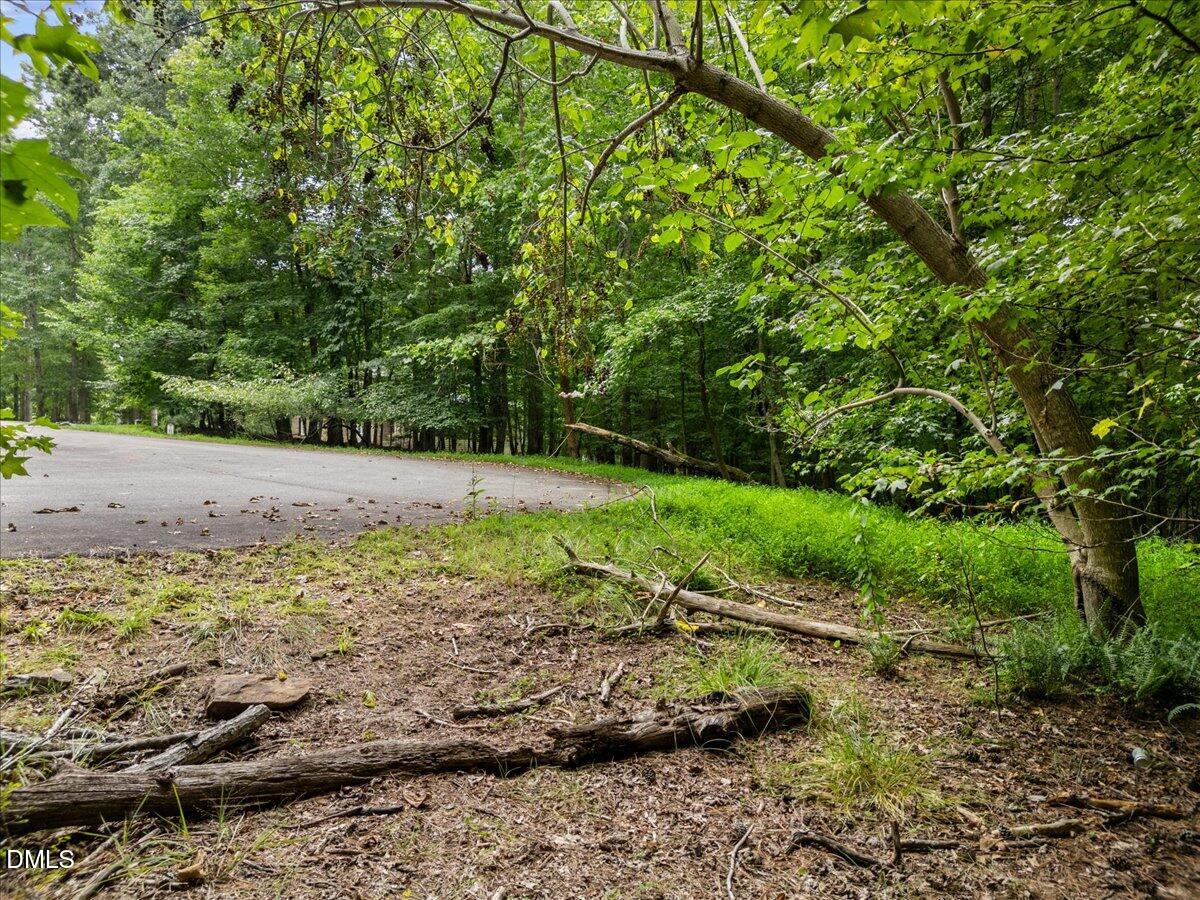 1037 Sunshine Circle Stem, NC 27581 - Photo 14 of 16 a view of a road with a backyard