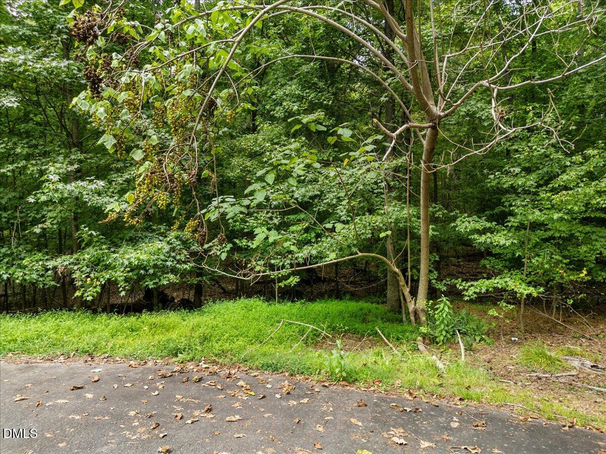 1037 Sunshine Circle Stem, NC 27581 - Photo 15 of 16 a view of a garden