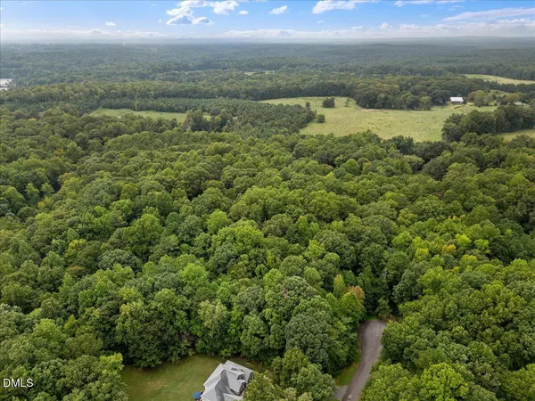 a view of a yard with a tree