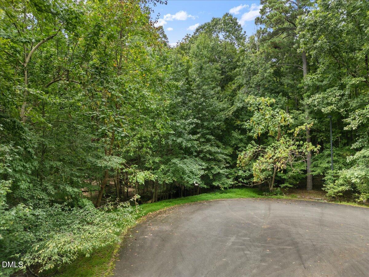 1037 Sunshine Circle Stem, NC 27581 - Photo 5 of 16 a view of a yard with a trees