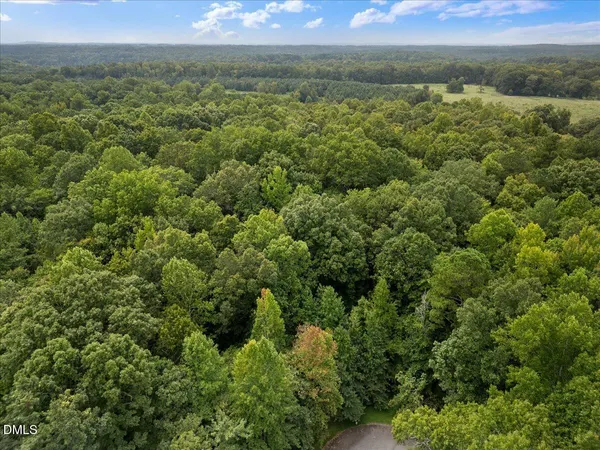 an aerial view of residential houses with outdoor space and trees