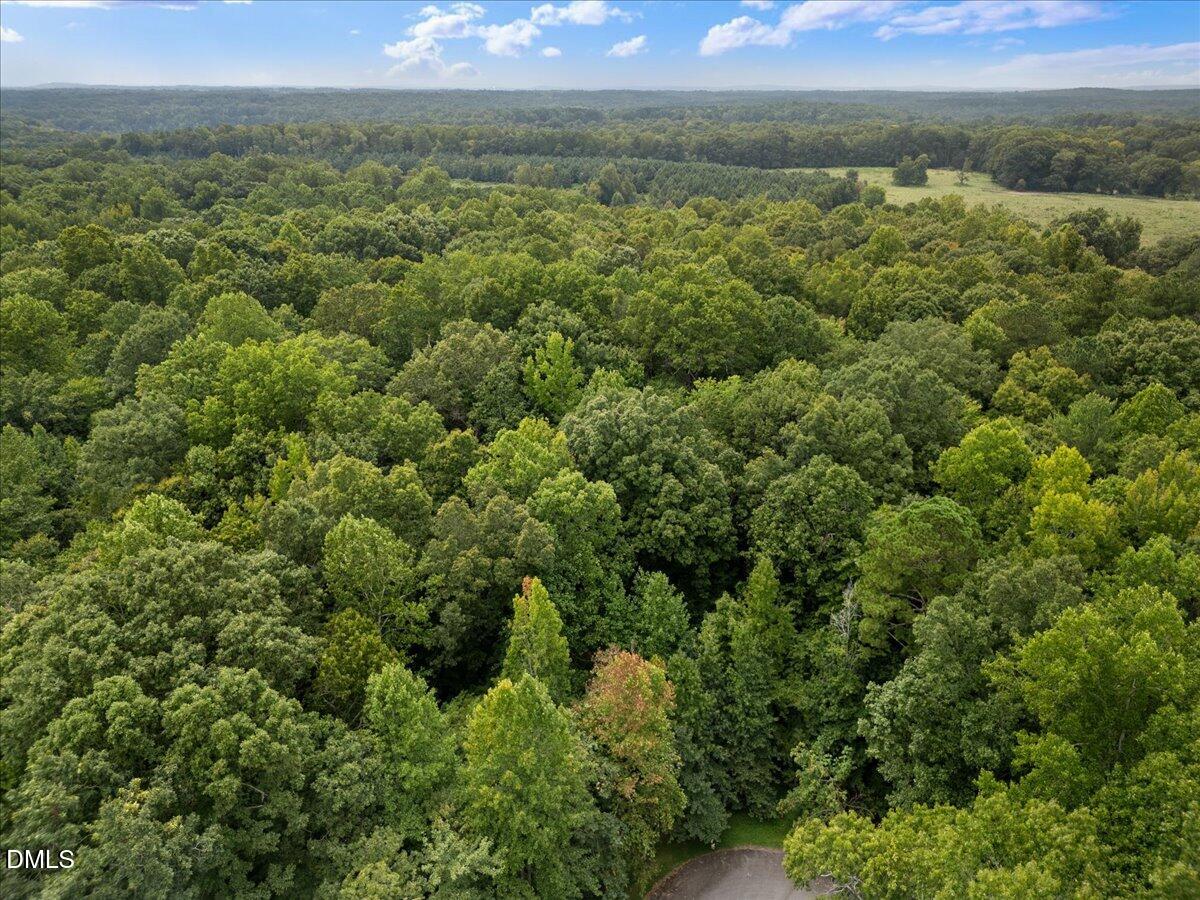 1037 Sunshine Circle Stem, NC 27581 - Photo 6 of 16