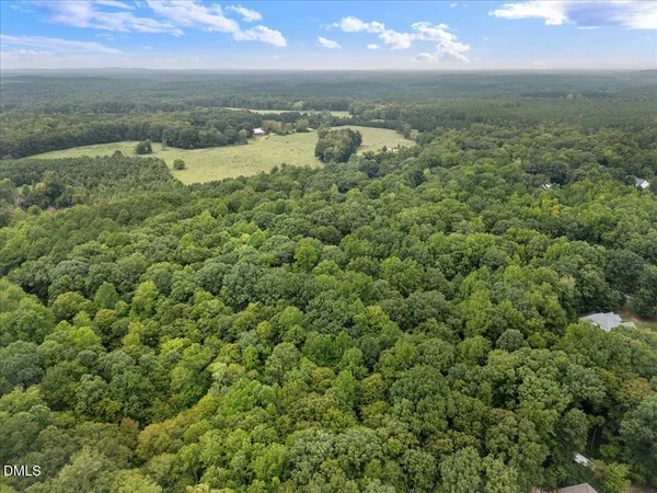 an aerial view of residential houses with outdoor space and trees
