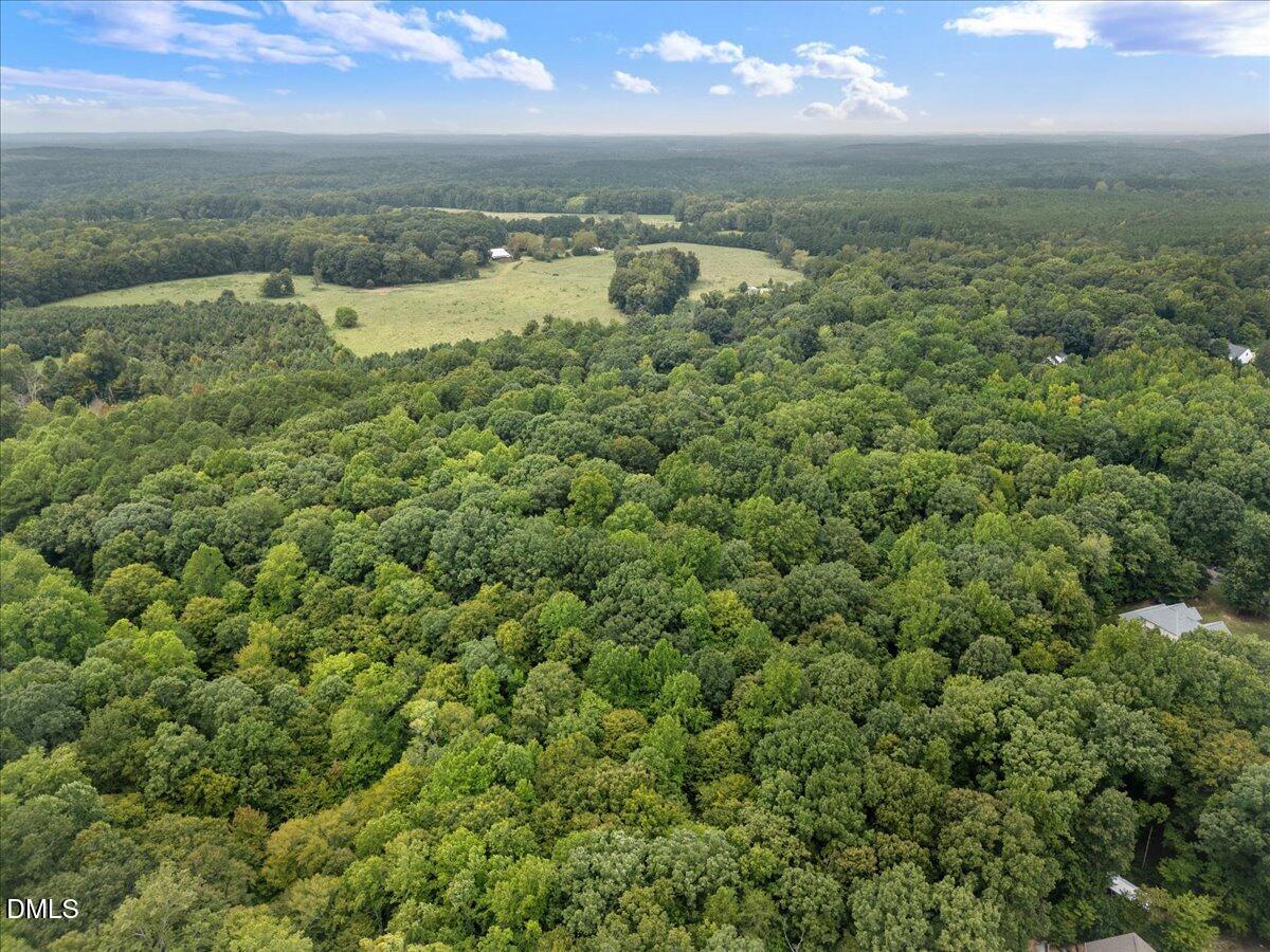 1037 Sunshine Circle Stem, NC 27581 - Photo 8 of 16 an aerial view of residential houses with outdoor space and trees