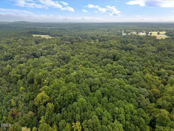 a backyard of a house with a tree
