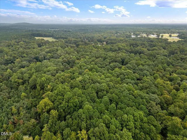 a backyard of a house with a tree