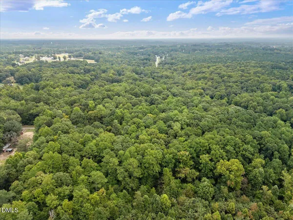 a backyard of a house with lots of green space and fountain