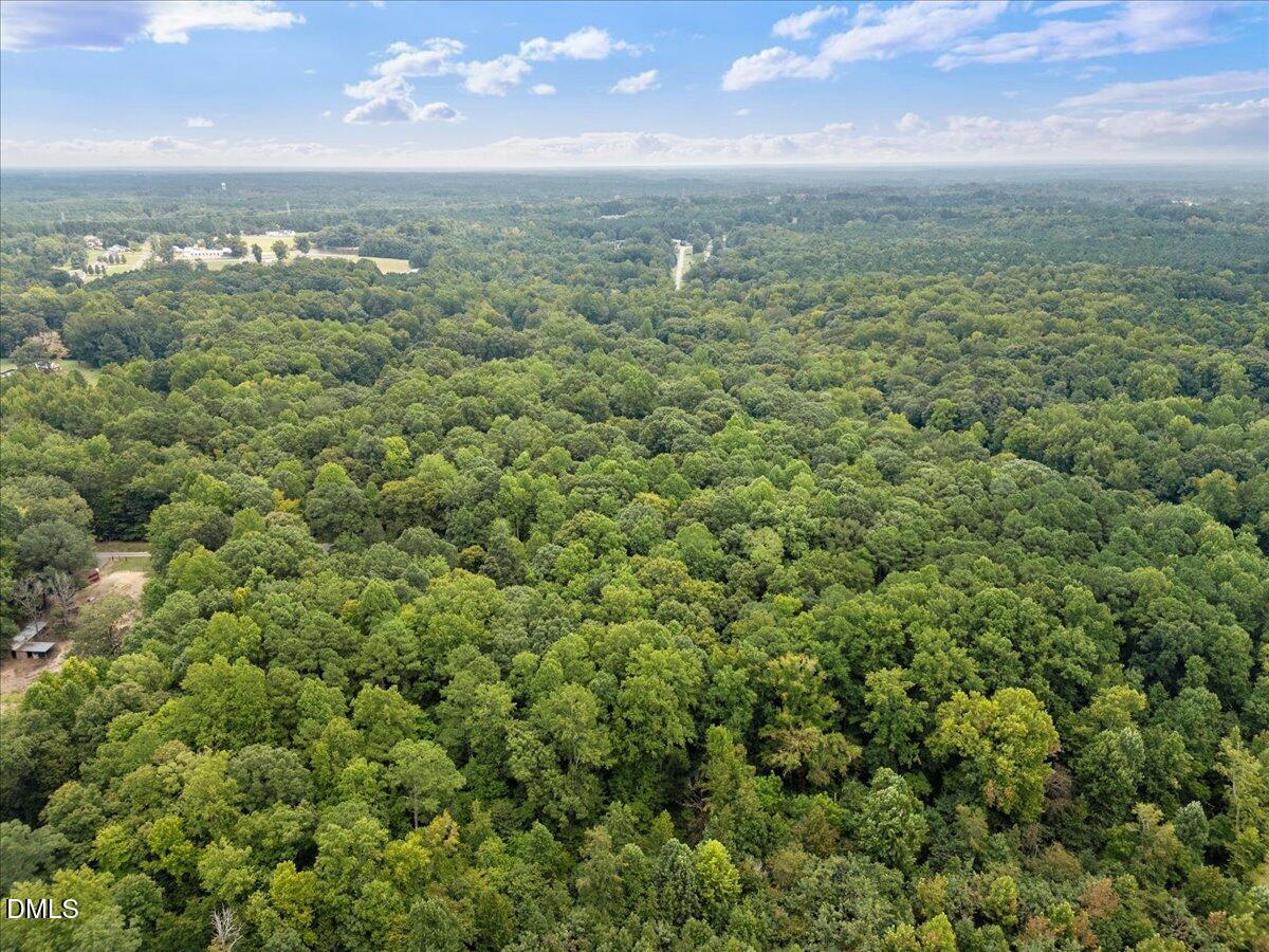 1037 Sunshine Circle Stem, NC 27581 - Photo 10 of 16 an aerial view of residential houses with outdoor space and trees