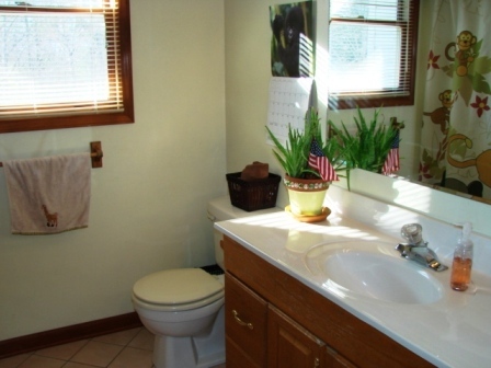 131 London Ridge Road Boones Mill, VA 24065 - Photo 15 of 37 a bathroom with a sink a toilet and a mirror