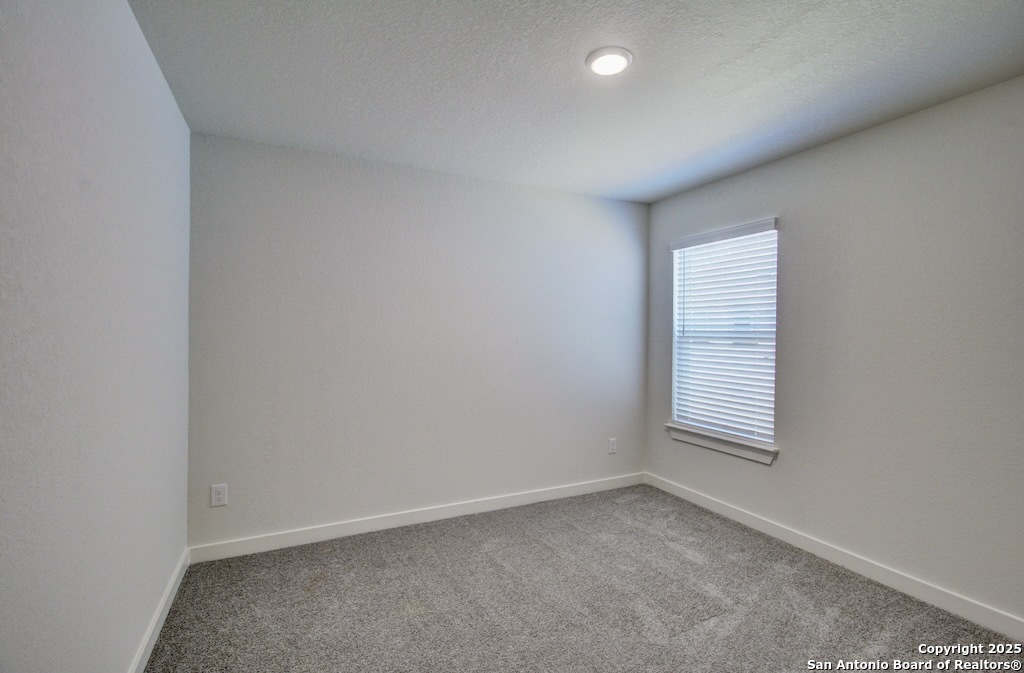 2703 Echinacea Path Converse, TX 78109 - Photo 15 of 23