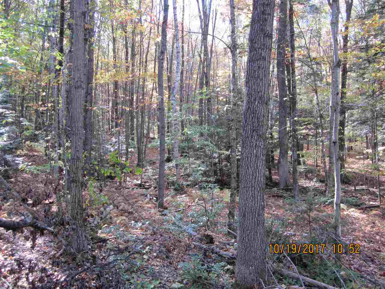 0 Gulf Road West Chesterfield, NH 03466 - Photo 4 of 6