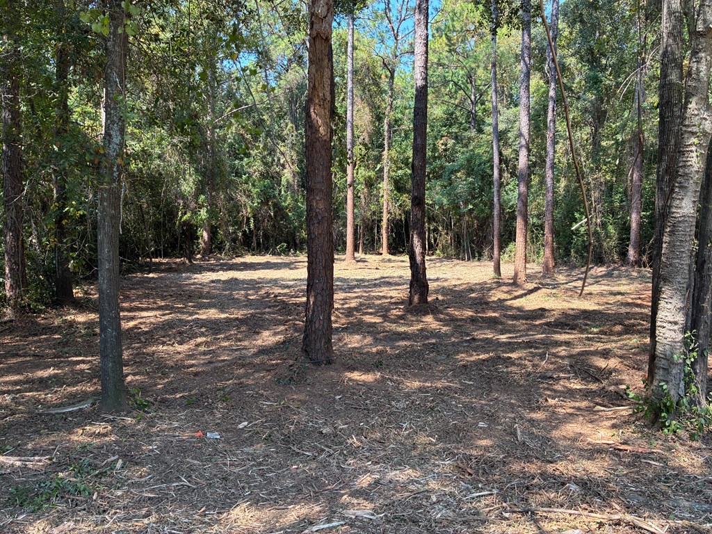 Lot 3 Hampton Way Dothan, AL 36305 - Photo 4 of 11
