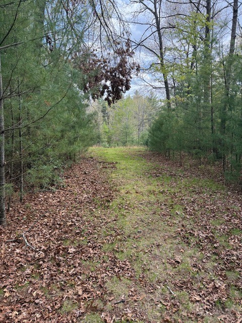 Country Ridge Road Jefferson, NC 28640 - Photo 2 of 5 Gallery Image 2
