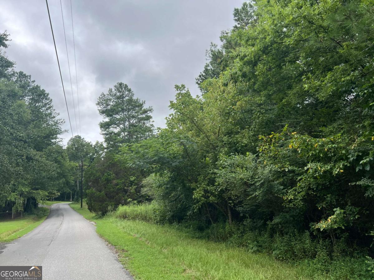 0 Kirk Road Northwest, Unit 1 White, GA 30184 - Photo 1 of 2 a view of a street with a trees in the background