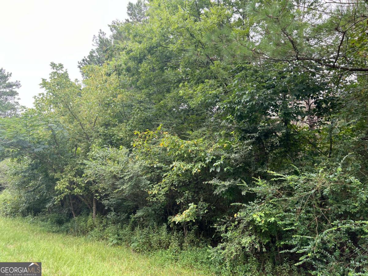 0 Kirk Road Northwest, Unit 1 White, GA 30184 - Photo 2 of 2 a view of a lush green forest with lots of trees
