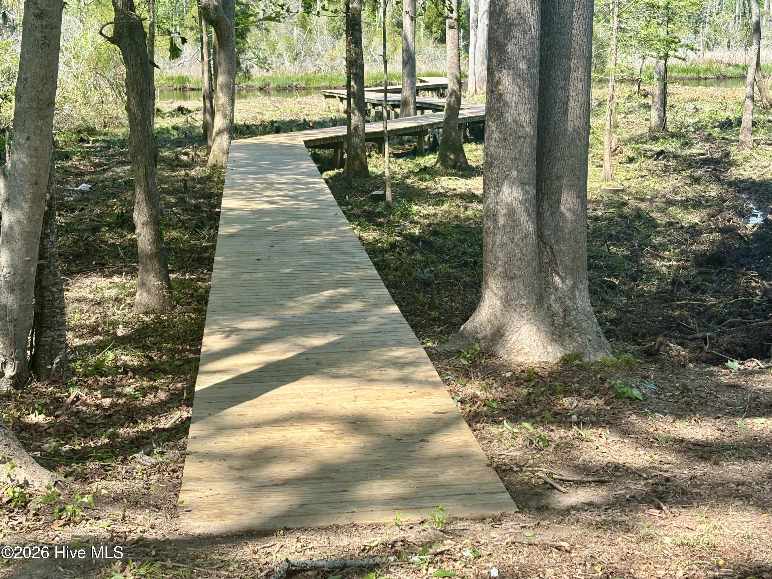 263 Treasure Point Road Bath, NC 27808 - Photo 27 of 76 IMG_3514