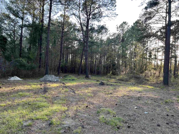 $103,000 | 2108 Lees Landing Circle, Conway, SC 29526