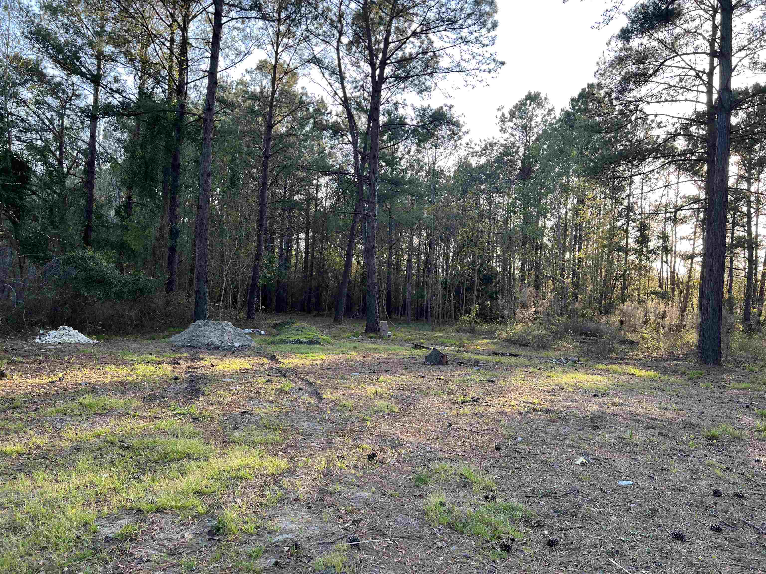 2108 Lees Landing Circle Conway, SC 29526 - Photo 12 of 14