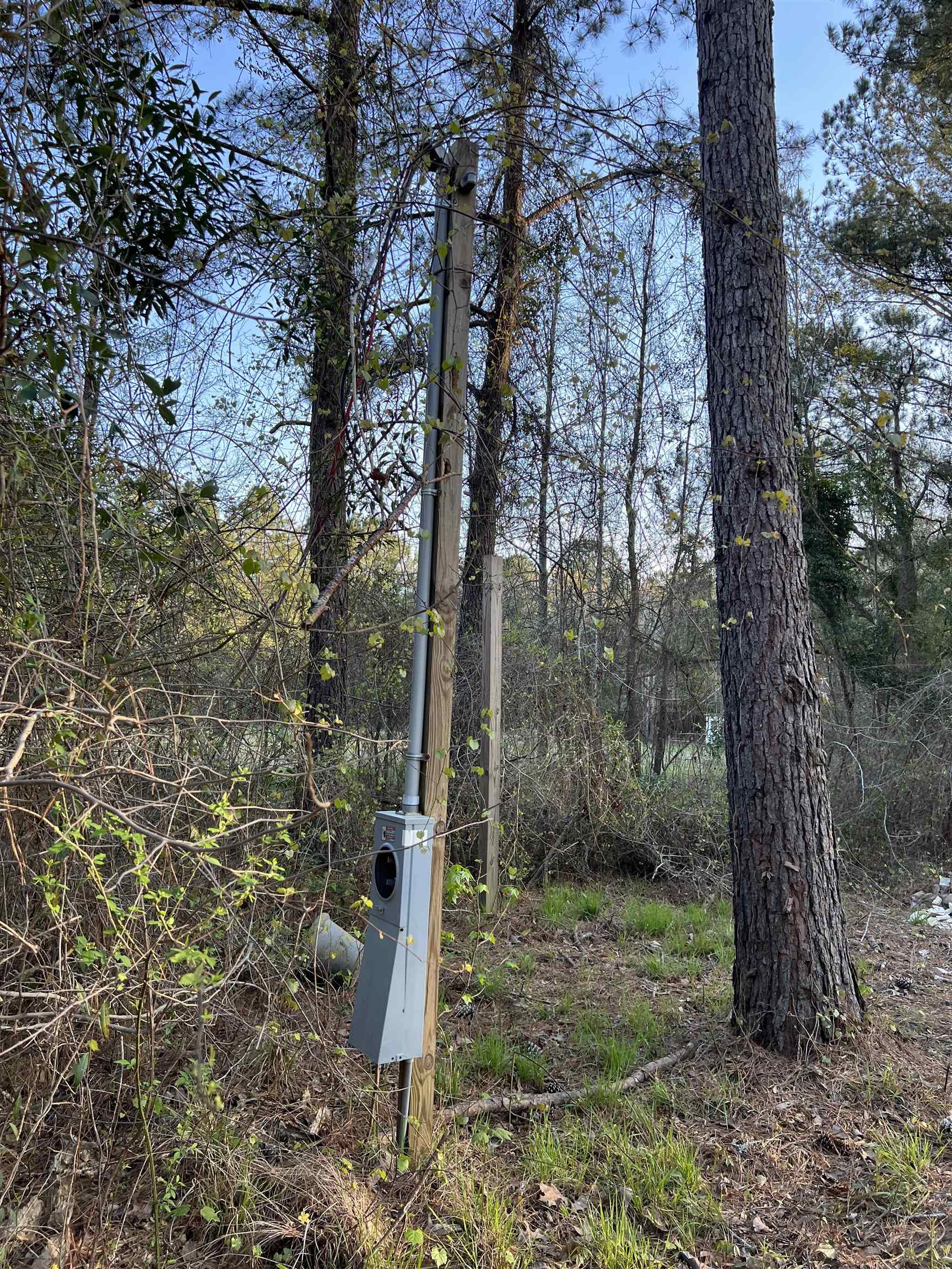 2108 Lees Landing Circle Conway, SC 29526 - Photo 13 of 14