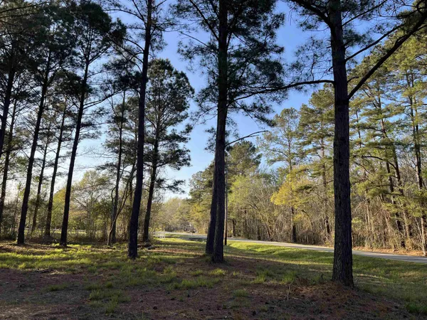 $103,000 | 2108 Lees Landing Circle, Conway, SC 29526